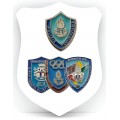 SPILLE E DISTINTIVI PP