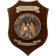CREST AERONAUTICA MILITARE - GIURAMENTO CORSO BOREA V