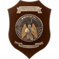 CREST AERONAUTICA MILITARE - GIURAMENTO CORSO BOREA V