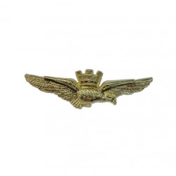 SPILLA AQUILA TURRITA AERONAUTICA MILITARE