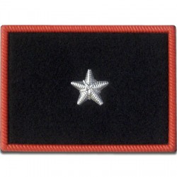 VELCRO CARABINIERI GRADO SOTTOTENENTE - PLASTICA