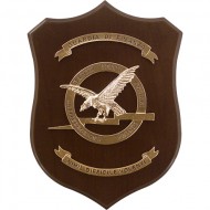 CREST GUARDIA DI FINANZA - A.T.P.I. ANTITERRORISMO PRONTO IMPIEGO - BASCHI VERDI