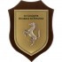 CREST GUARDIA DI FINANZA - 10° LEGIONE