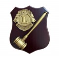 CREST E TARGHE LIONS