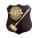 CREST E TARGHE LIONS