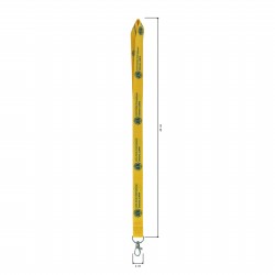 LANYARD LIONS INTERNATIONAL