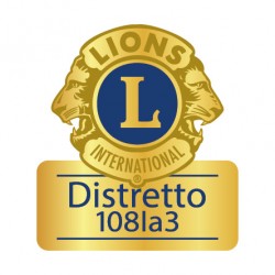 SPILLA DISTRETTO 108 IA3 LIONS INTERNATIONAL DORATA