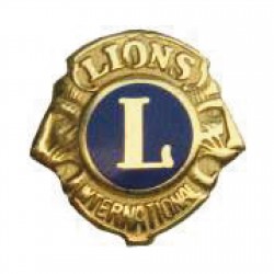 SPILLA ARGENTO 925  DIAM. 13 MM LIONS INTERNATIONAL DORATA 