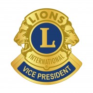 SPILLA "VICE PRESIDENT" LIONS INTERNATIONAL DORATA