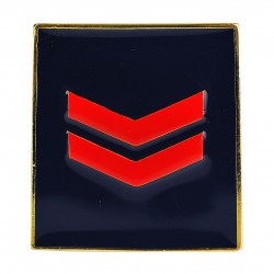 GRADI COPPIA METALLO POLIZIA DI STATO - ASSISTENTE