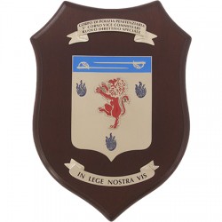 CREST POLIZIA PENITENZIARIA - 3° CORSO VICE COMMISSARIO RUOLO DIRETTIVO SPECIALE