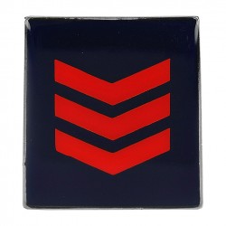 GRADI COPPIA METALLO POLIZIA PENITENZIARIA - ASSISTENTE CAPO